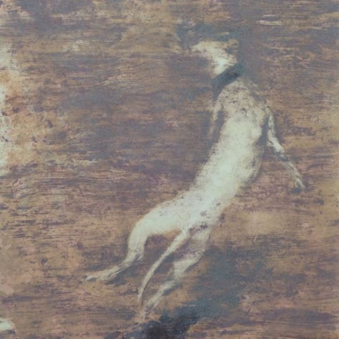 Hovedbilde Lars Elling, Frisbee